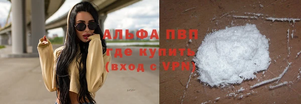 сатива Беломорск