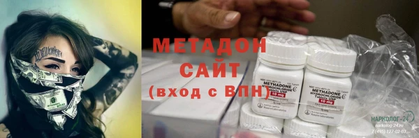 сатива Беломорск