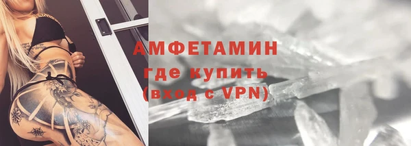 сатива Беломорск