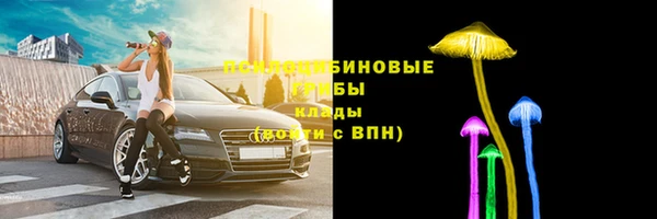 сатива Беломорск
