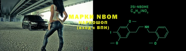 сатива Беломорск