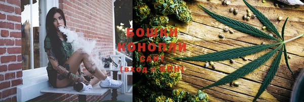 первитин Белокуриха