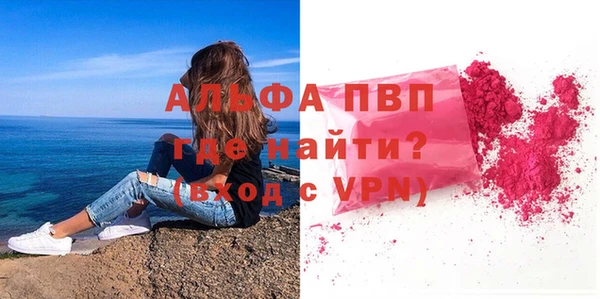 сатива Беломорск