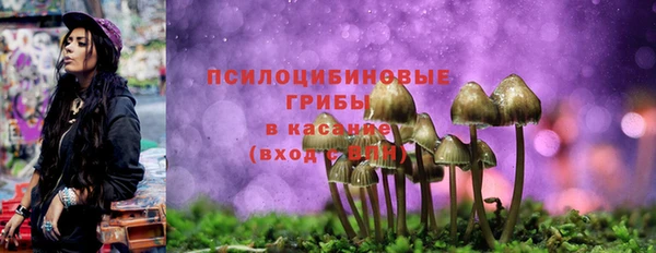 экстази Белоозёрский