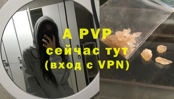 сатива Беломорск