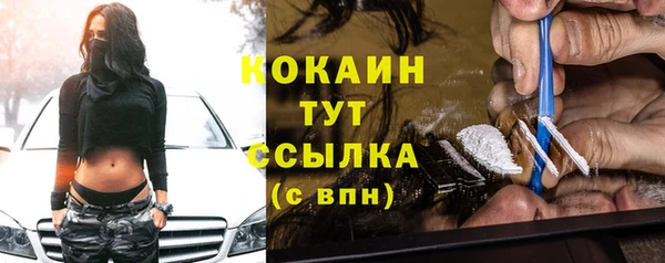 сатива Беломорск