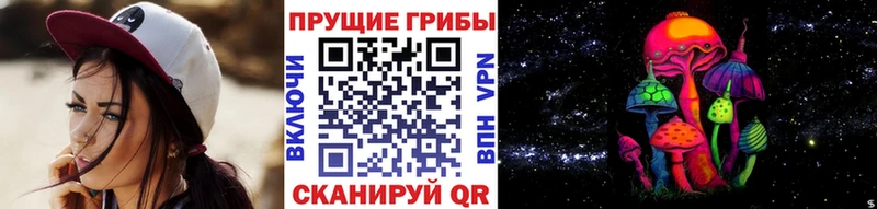Галлюциногенные грибы GOLDEN TEACHER  гидра ссылка  Вытегра 